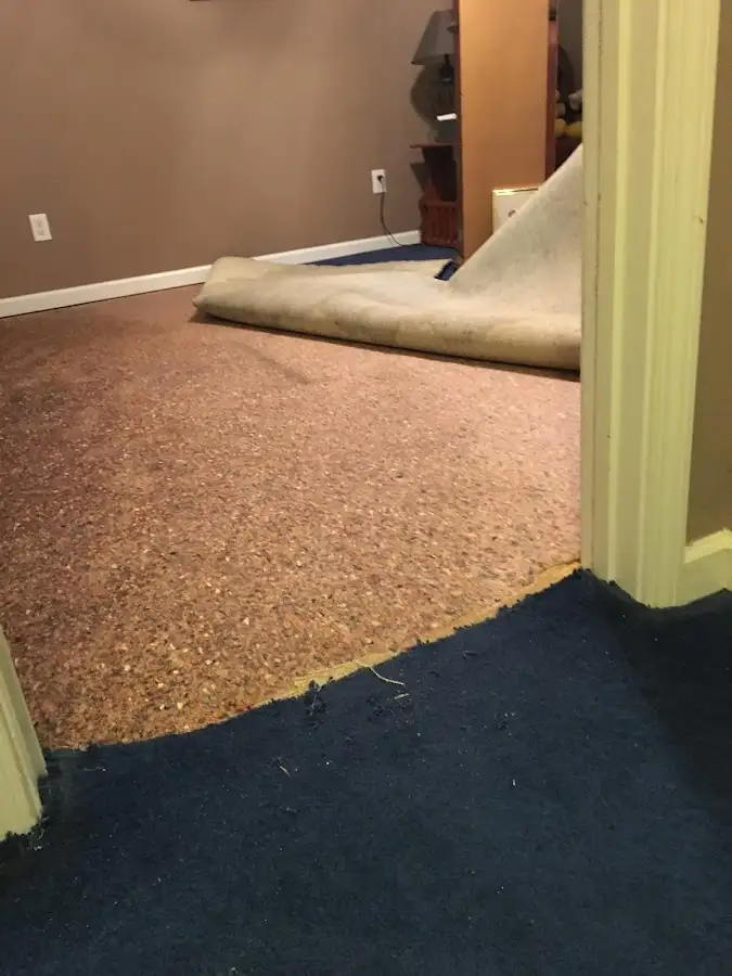 Carpet pad removal revealing water damage during Water Mitigation Services in Fortuna