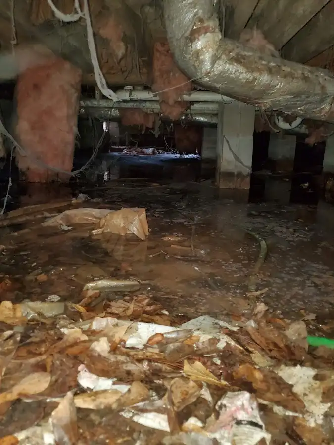 Crawl space flood assessment for Leak Detection & Repair in Fortuna